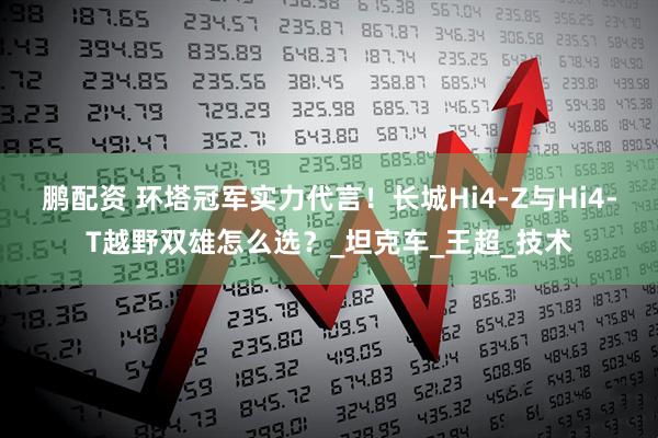 鹏配资 环塔冠军实力代言！长城Hi4-Z与Hi4-T越野双雄怎么选？_坦克车_王超_技术